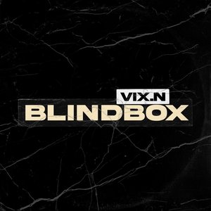 “BLINDBOX”的封面