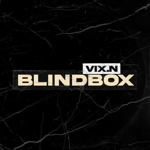 Immagine per 'BLINDBOX'