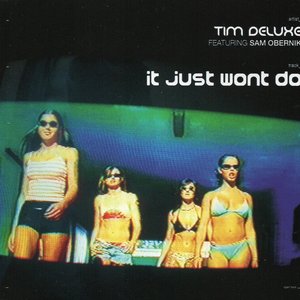 “It Just Won't Do”的封面