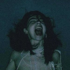 “Björk”的封面
