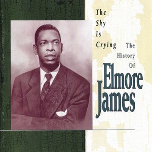 Bild für 'The Sky Is Crying - The History Of Elmore James'