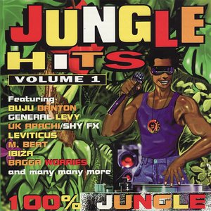 “Jungle Hits, Vol. 1”的封面