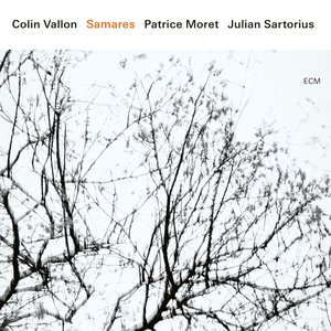 Image for 'Samares (feat. Patrice Moret & Julian Sartorius)'