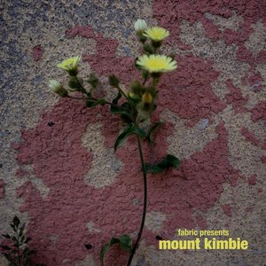 Bild für 'fabric presents Mount Kimbie (Mixed)'