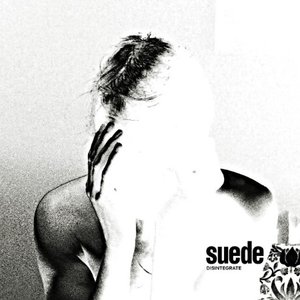 Image for 'Disintegrate'