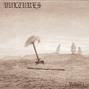 Image for 'Vultures'