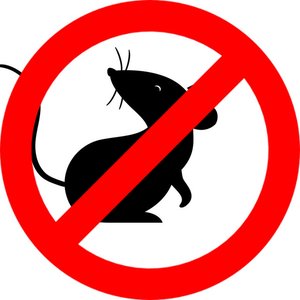 “Mouse Repellent”的封面
