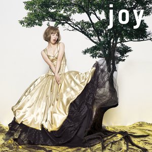 “joy”的封面