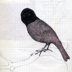 Image for 'Barra Barra'