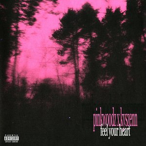Image for 'feel your heart'