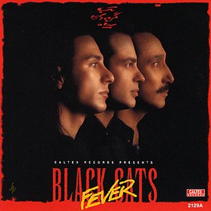 Immagine per 'Black Cats Fever - Persian Music'