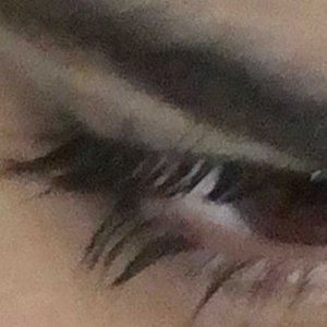 Image for 'noturgf'