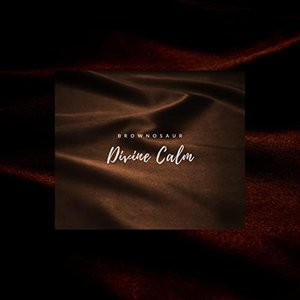 Image for 'Divine Calm'