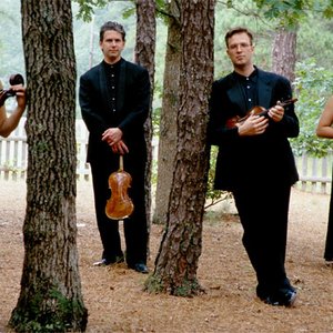 Image for 'Borromeo String Quartet'