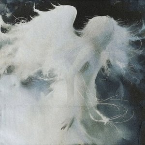 Image for 'angel dust'