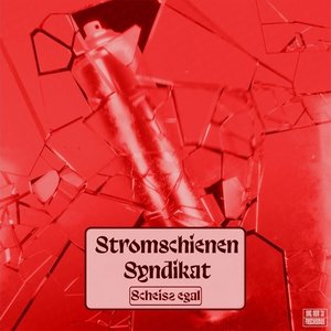 “Scheiss Egal (District Red Remix)”的封面