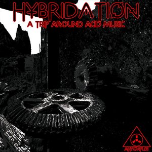 Image for 'Hybridation'