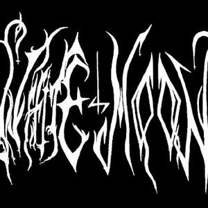 “Whitemoon”的封面