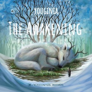 Image for 'The Awakening'