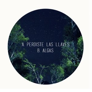 Image for 'Perdiste las Llaves'