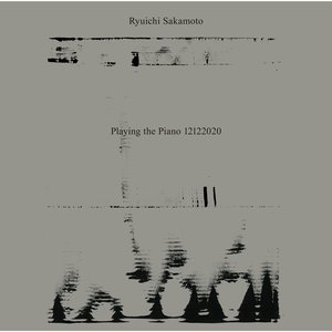 Изображение для 'Playing the Piano 12122020'