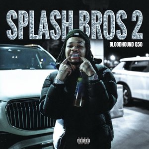 Image for 'Splash Bros 2'