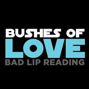 Imagem de 'Bushes of Love'