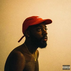 “Sonder Son”的封面