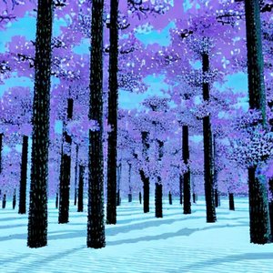 Immagine per 'crystal forest'