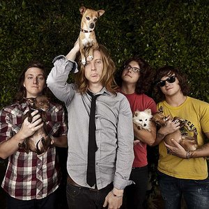 Immagine per 'We the Kings'