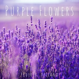 Image for 'Purple Flowers'