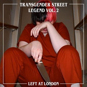Image pour 'Transgender Street Legend, Vol. 2'