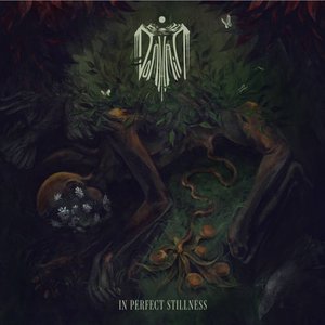 Image for 'In Perfect Stillness'