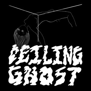 Image for 'Ceilingghost'