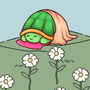 “Sleeping Tortoise”的封面