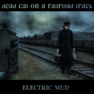 Image pour 'Dead Cat On a Railroad Track'
