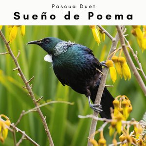 Изображение для 'Pascua Duet'