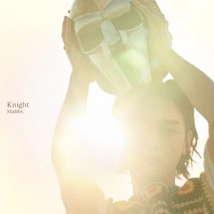 Immagine per 'Knight - Single'