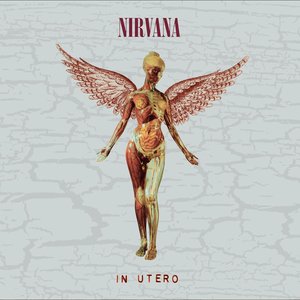 Изображение для 'In Utero (30th Anniversary)'