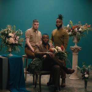 Изображение для 'Young Fathers'