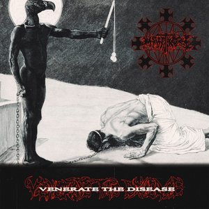 Image for 'Venerate the Disease'