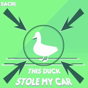 Image for 'This Duck Stole My Car'