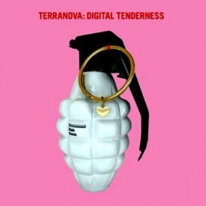 Image for 'Digital Tenderness'