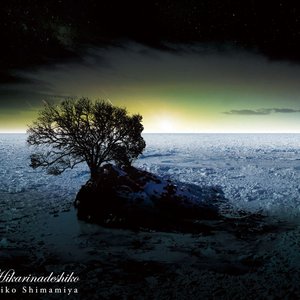 Image for 'Hikarinadeshiko'
