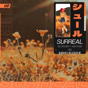 Image for 'Surreal'