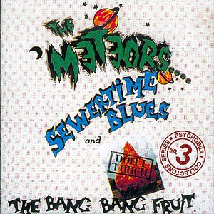 Image for 'Sewertime Blues and Don't Touch the Bang Bang Fruit'