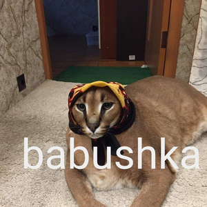 Kazulke