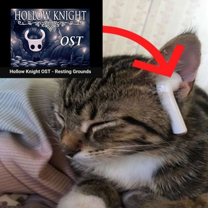polytoast