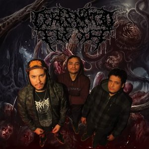 “Cercenated Flesh”的封面