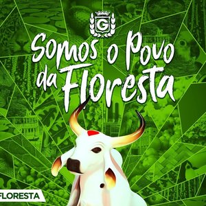 Imagem de 'Somos o Povo da Floresta: Floresta'